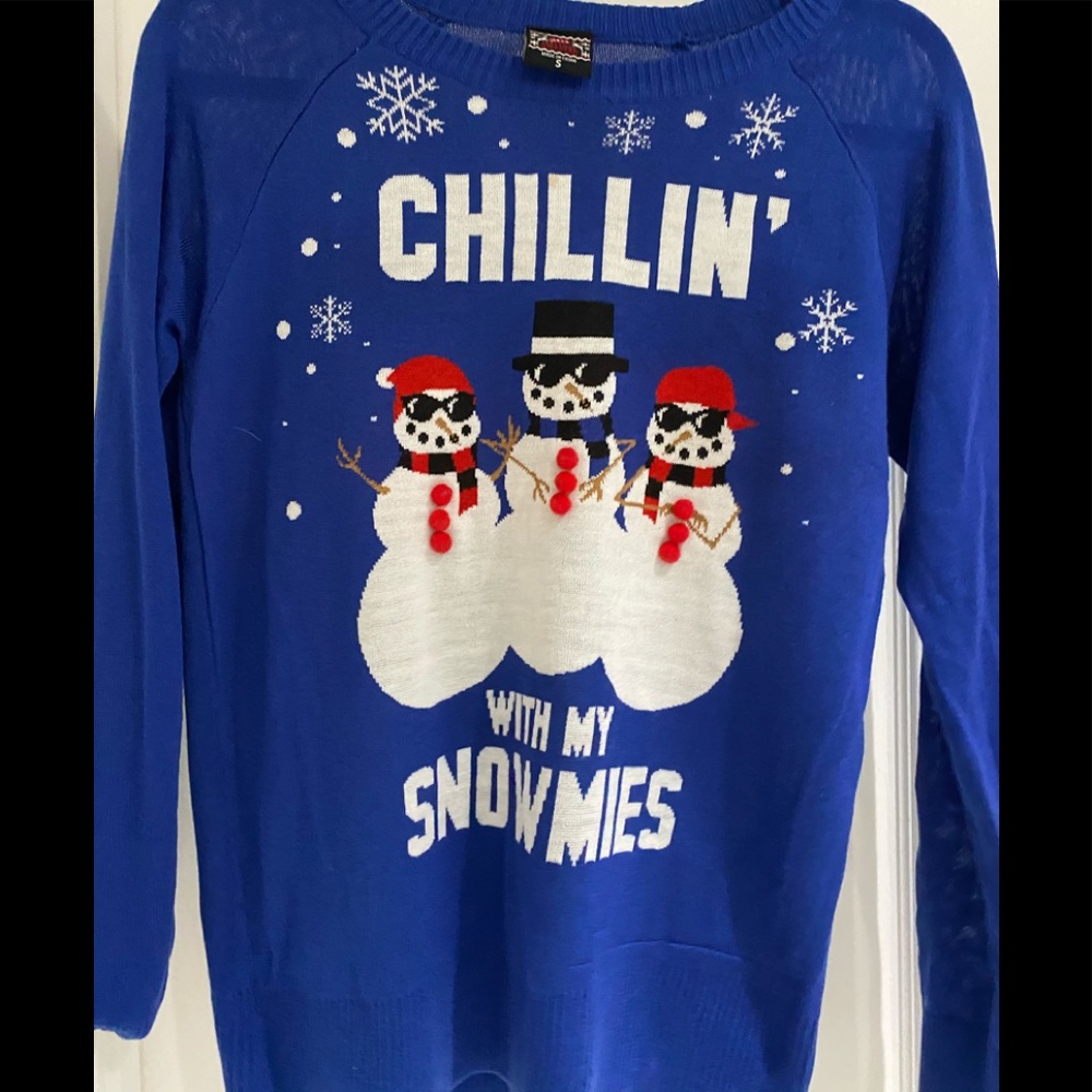 Christmas Holiday Sweater (Small)